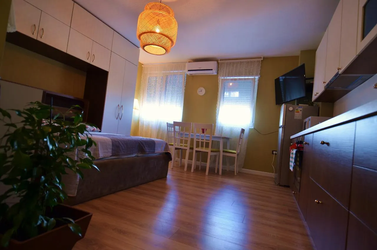 Lägenhet Studio Silva 2 Tirana